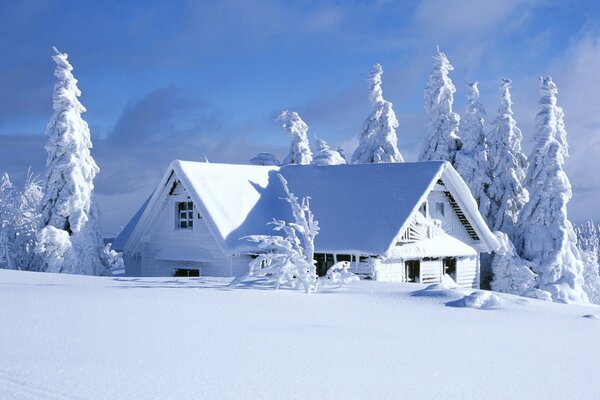 Paisaje de naturaleza invernal