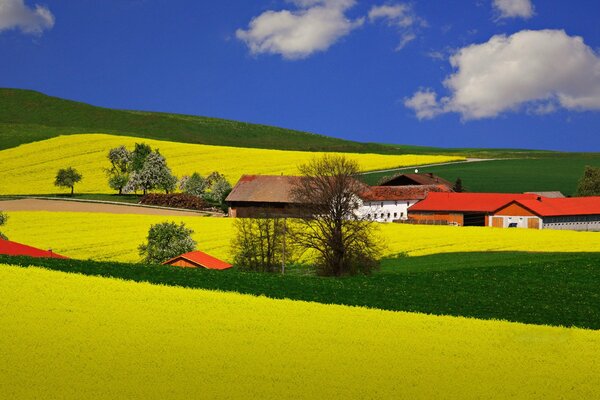 Heller Bauernhof auf einem grünen Plateau