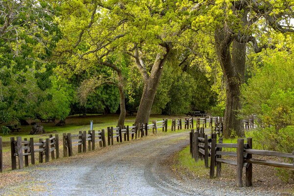 The way to the house of your dreams