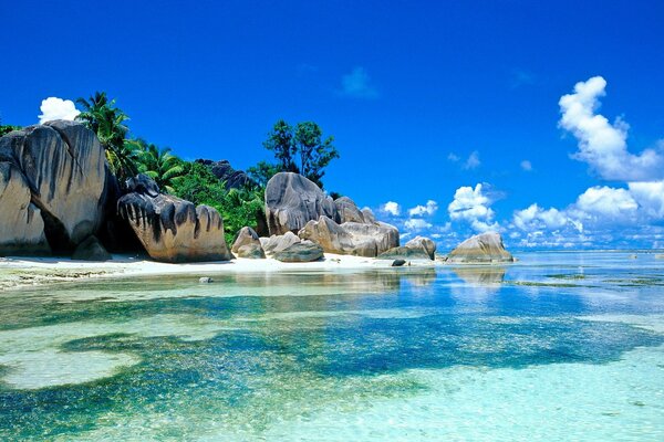 Wunderschöne Landschaft der Seychellen mit Palmen