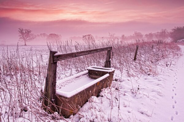 Colorful Winter landscape in the field