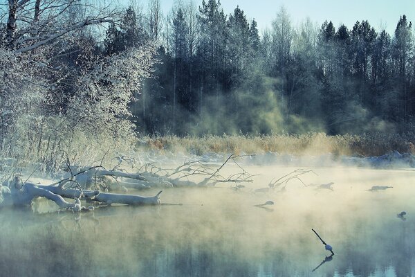 Fluss im Winternebel