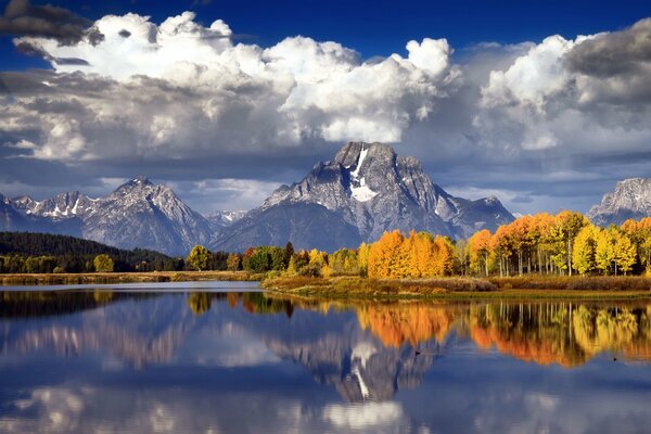 Bosque de otoño en el fondo de las montañas