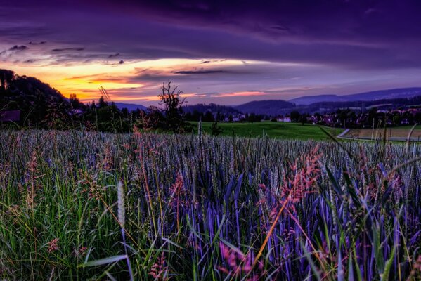 Himmlischer Sonnenuntergang auf dem Feld