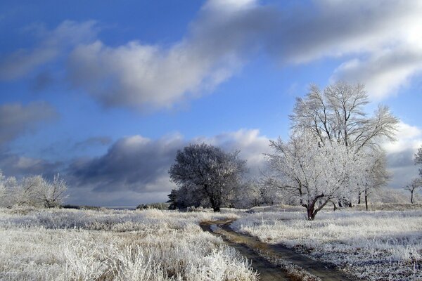 Route d hiver rustique dans le gel