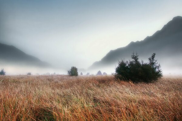 Fitta nebbia sul campo in montagna