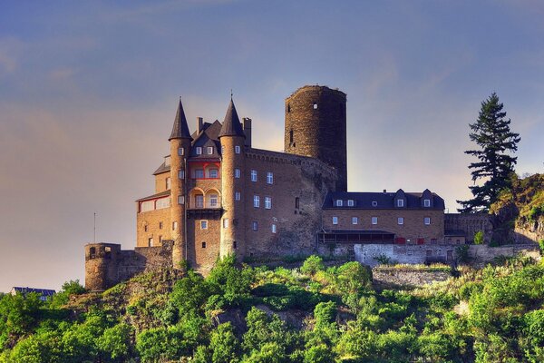 Castello sullo sfondo delle montagne della Germania