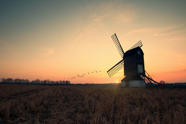 Coucher de soleil du soir avec les oiseaux qui s envolent