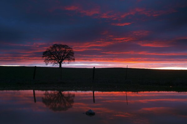 Der violette Abendhimmel spiegelt sich im Teich wider