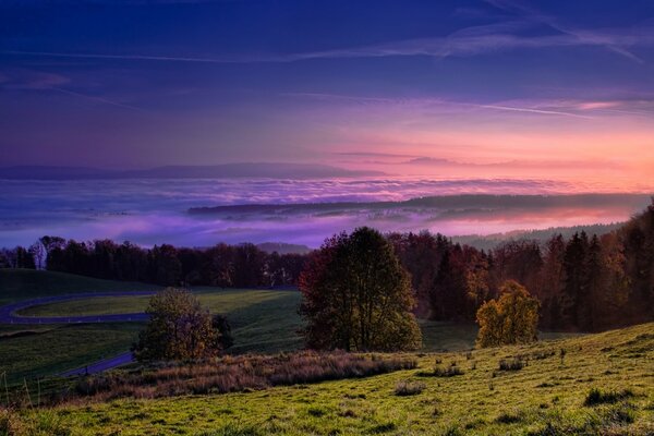Purple fog in a forest valley