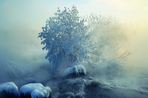 Es weht kalt aus der Winterlandschaft