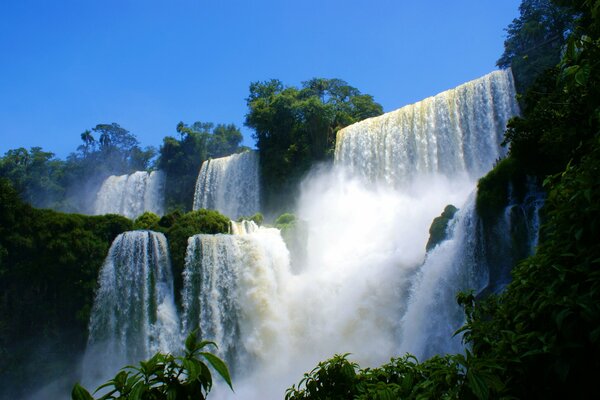 Cascade de cascades bruyantes dans la forêt tropicale