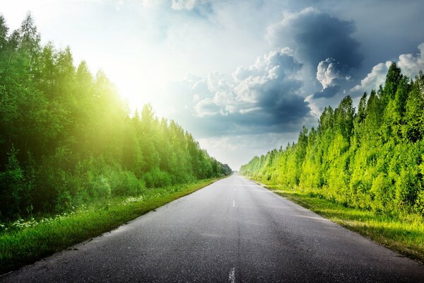 Carretera asfaltada en medio del bosque