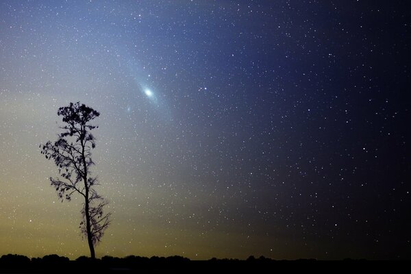 Andromeda among the stars. Mesmerizing sky