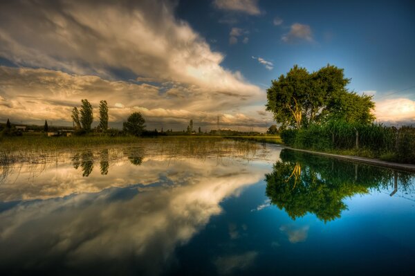 Evening nature with a lake