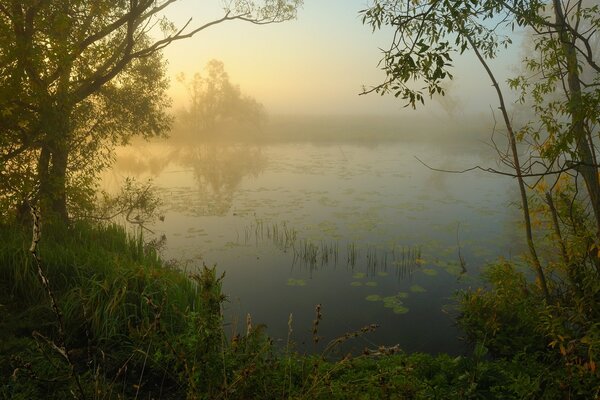 Niebla de primavera por la mañana sobre el lago