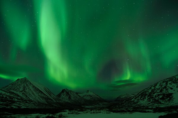 The Northern Lights are green