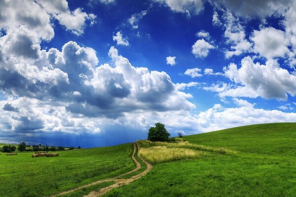 Clear sky over the green valley