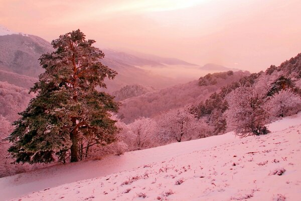 Montagnes en hiver. Traitement par filtre rose