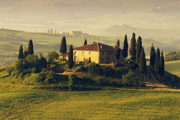 Eiben um ein Haus in Italien