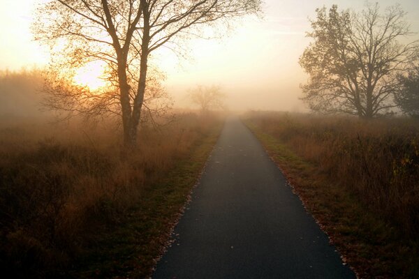 Paysage d un matin brumeux tôt