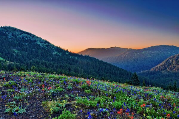 Montagne al tramonto