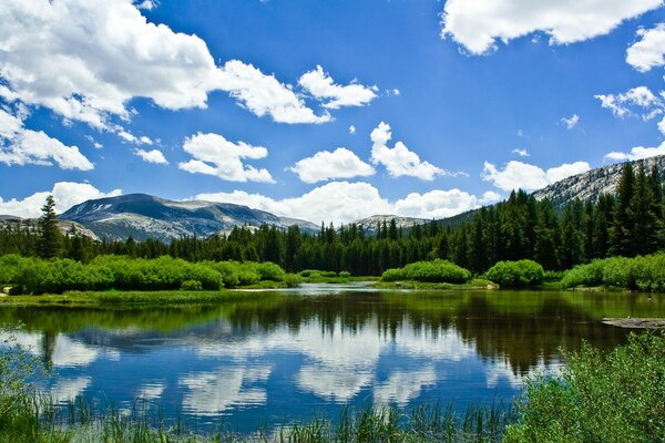 The lake in the distance is not mountains on a wonderful sunny day