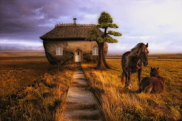 Haus und Pferde im weiten Feld