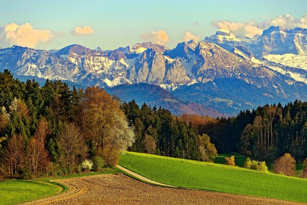 Strada passare attraverso il campo, prato e montagne