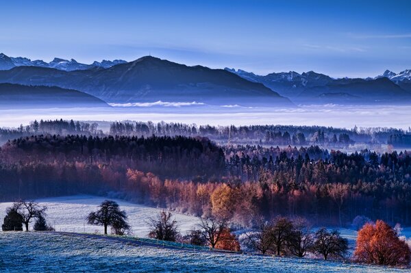 Winter Natur in Wald und Feld