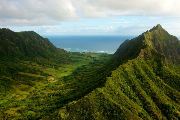 Mountains covered with grass and shrubs. The beauty of nature