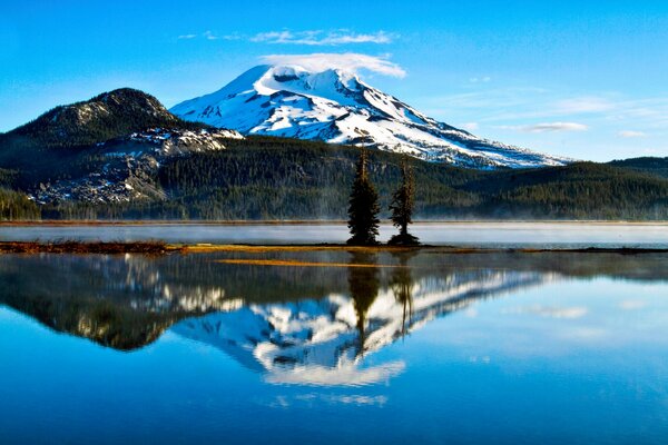 Reflejo en el lago de las montañas y el bosque