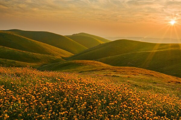 Colinas de California en los rayos del atardecer naranja