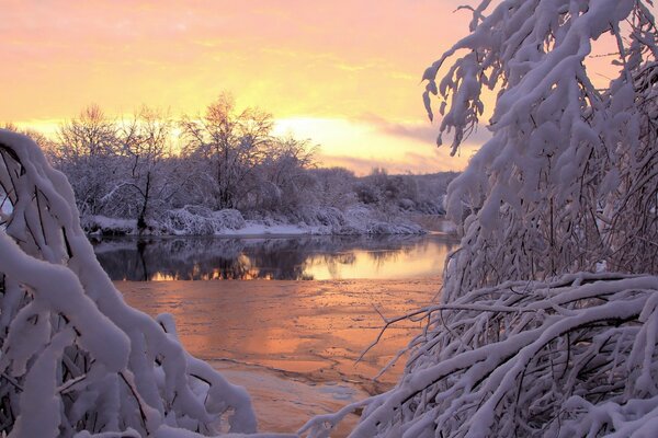 The beauty of nature in winter on the river bank