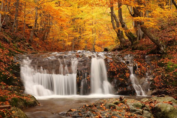 Autumn forest landscape with a waterfall by the lake