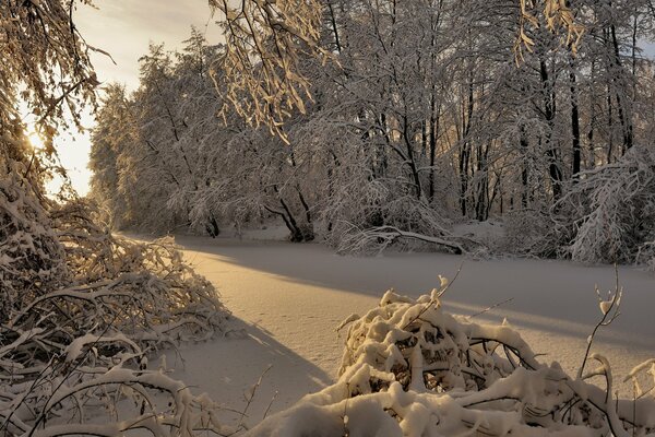 Winter verschneiten Morgen