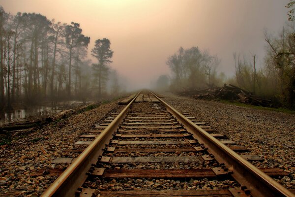 Rails and a road through the forest in the fog