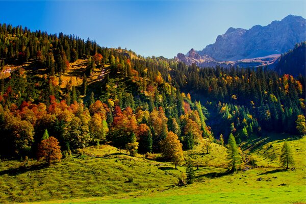 Осенняя природа с холмами в Австрии