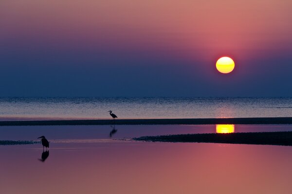 Crimson sunset on the seashore