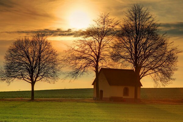 Bäume und ein Haus im Feld. Schöner Sonnenuntergang