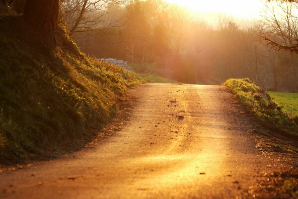 Camino de la tarde en medio de la puesta de sol