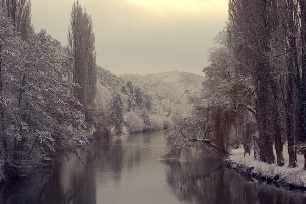 Graue Wälder und ein Fluss im Winter