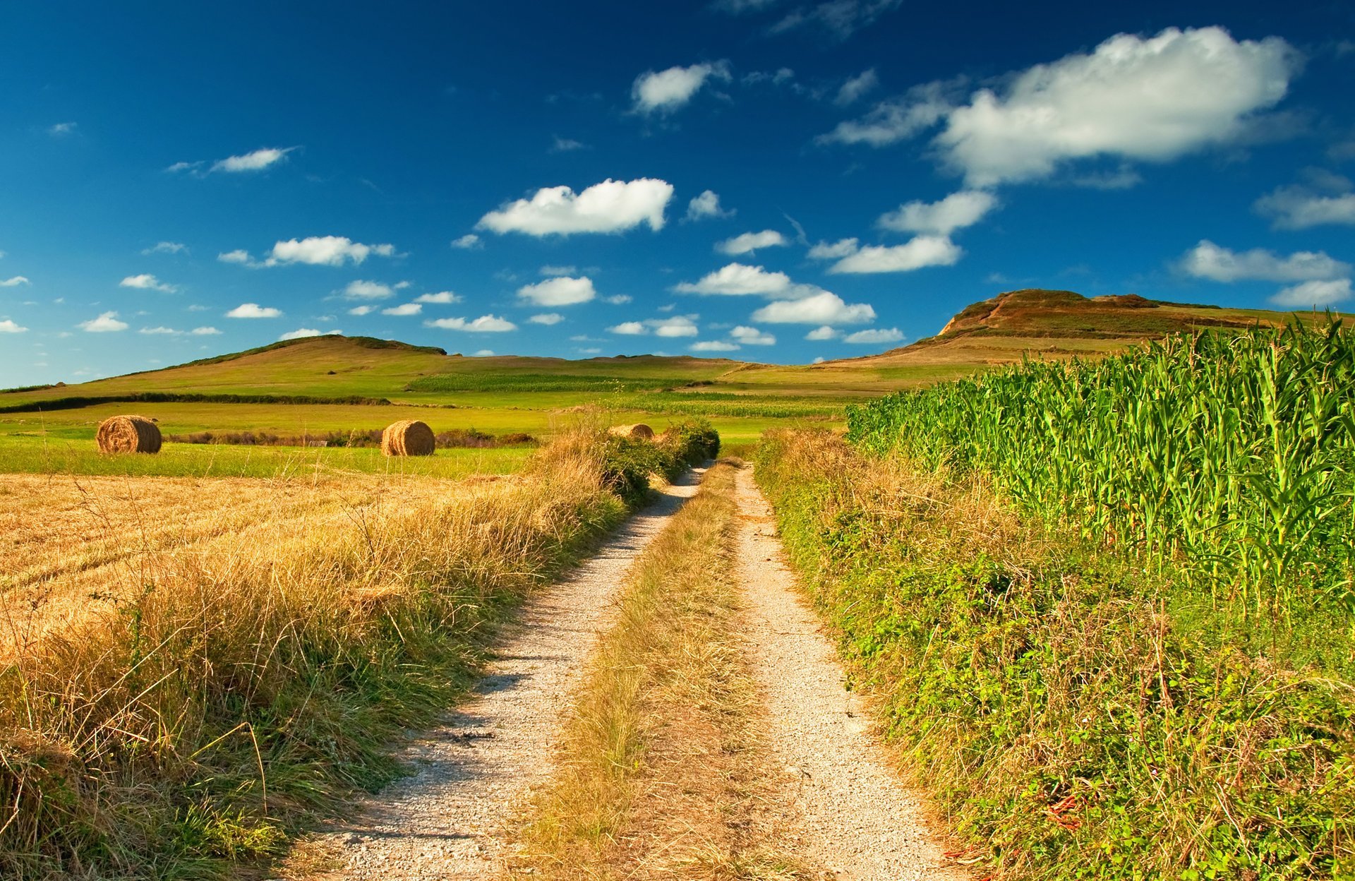 country road field view landscape nature blue sky image stack hay corn expanse blue horizon