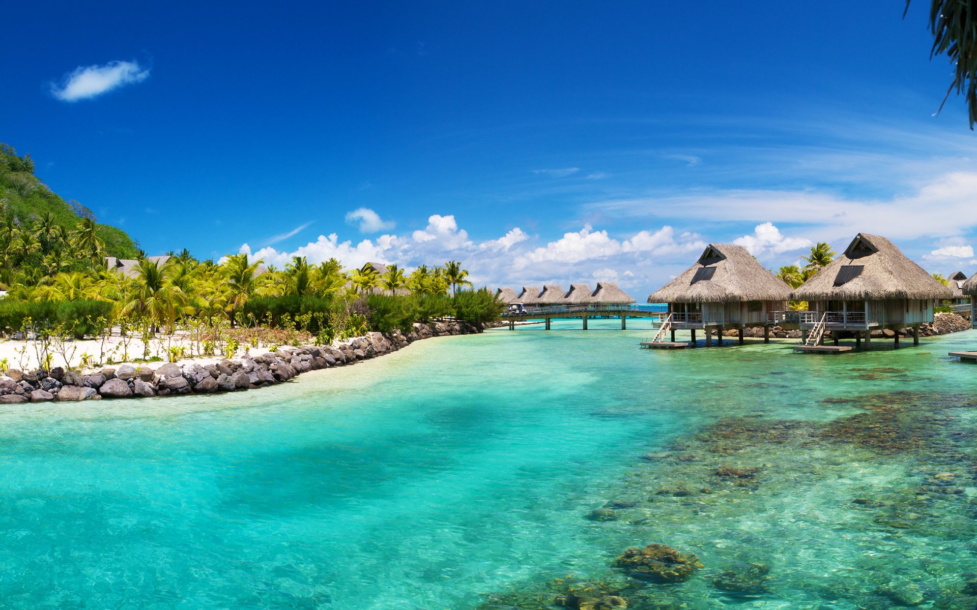 bora bora océan mer palmiers tropiques maisons