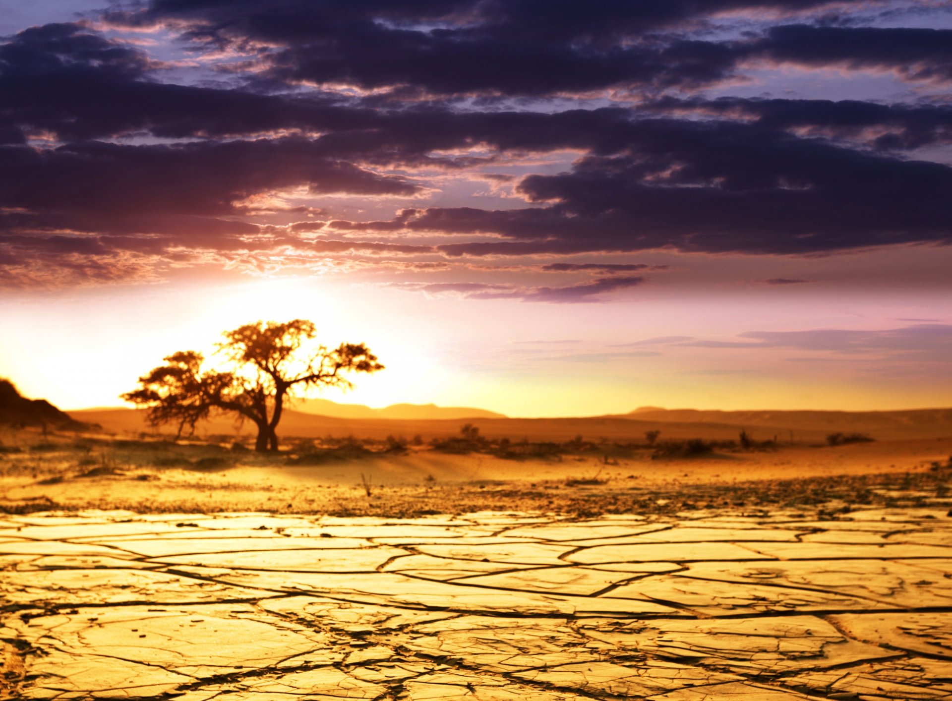 paesaggio africano africa savana paesaggio orizzonte cielo nuvole bellezza albero sabbia alba