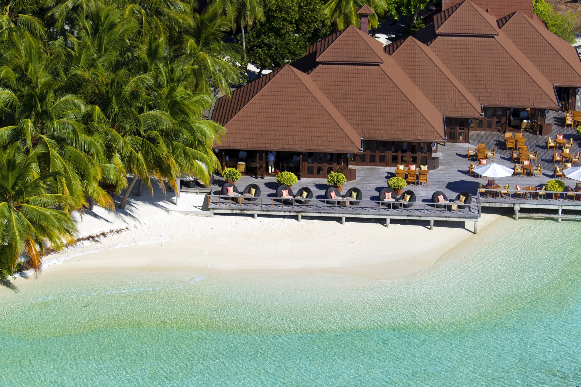 maldives seychelles île côte plage sable palmiers