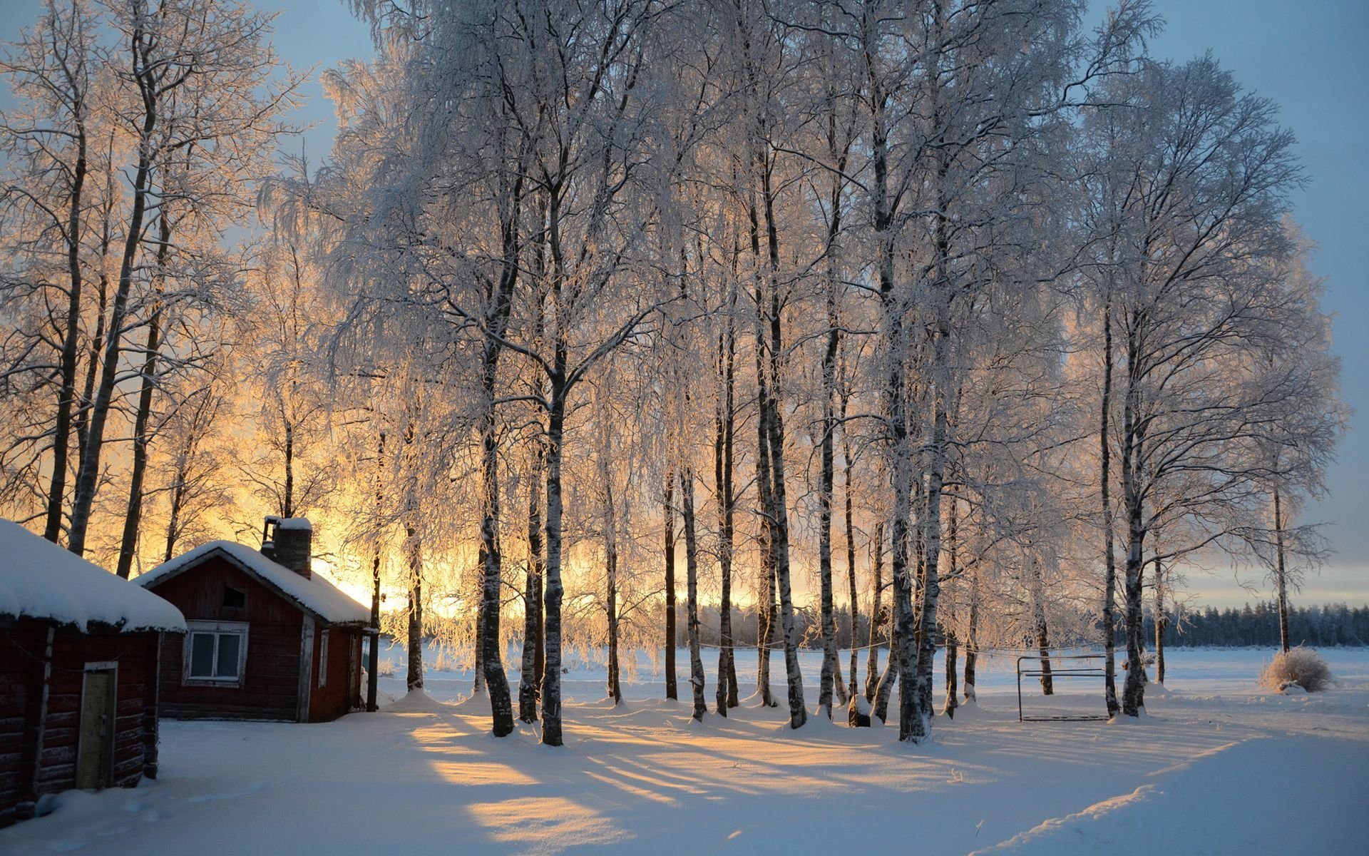 finlandia capanna neve alberi alba inverno