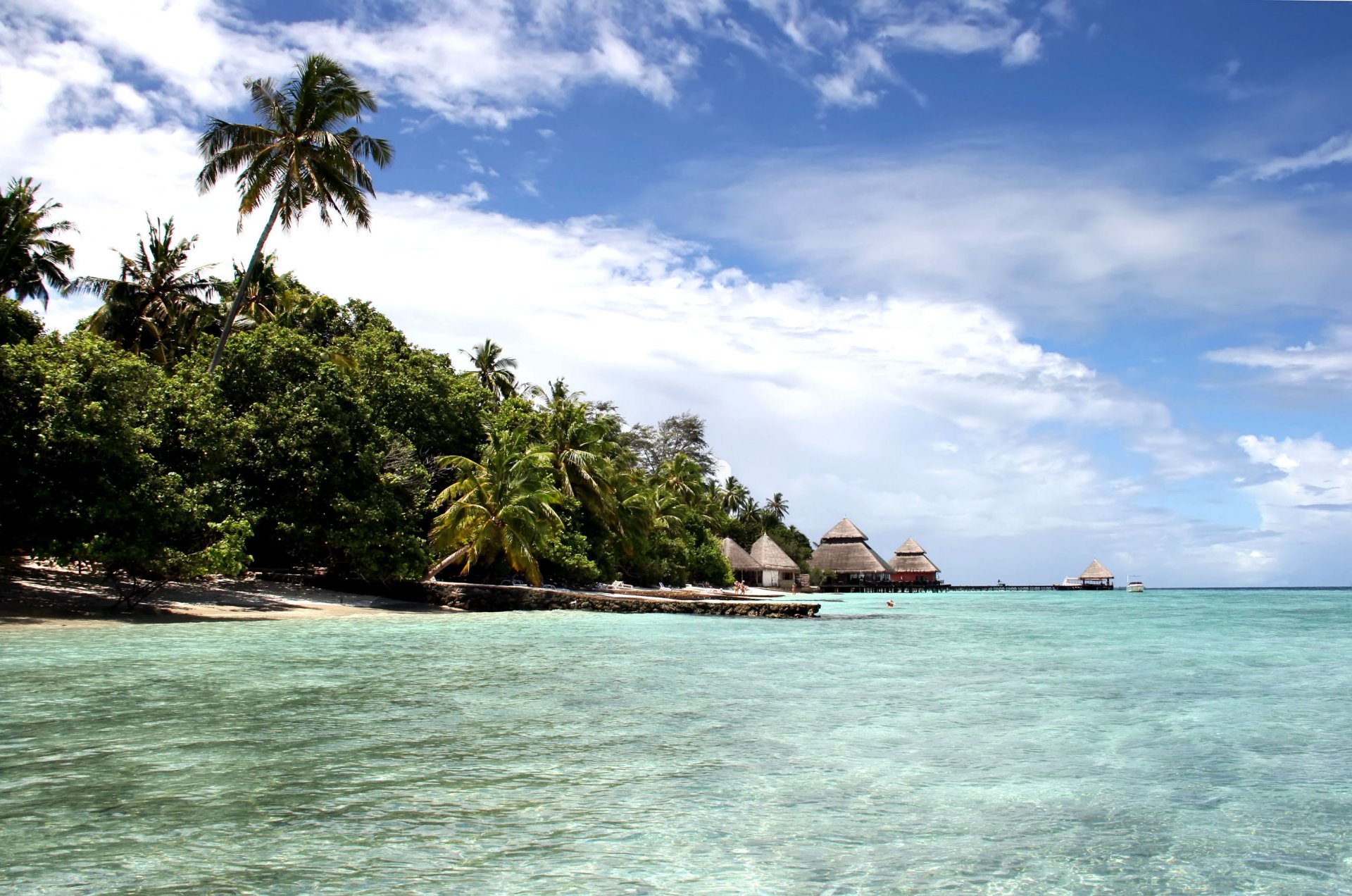 maldive oceano spiaggia cielo isola