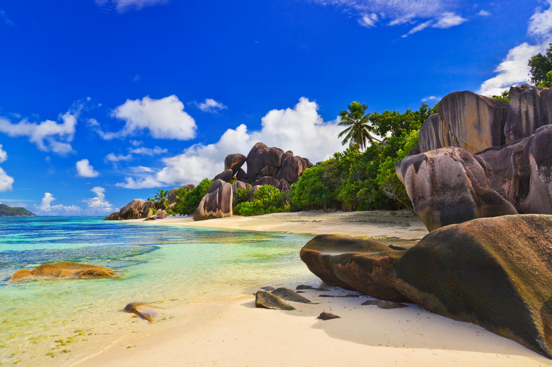 maldives seychelles île