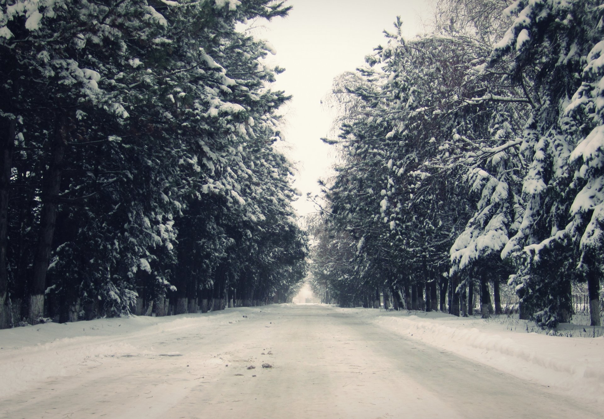 paisaje invierno nieve